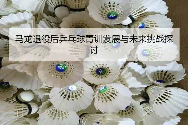 马龙退役后乒乓球青训发展与未来挑战探讨