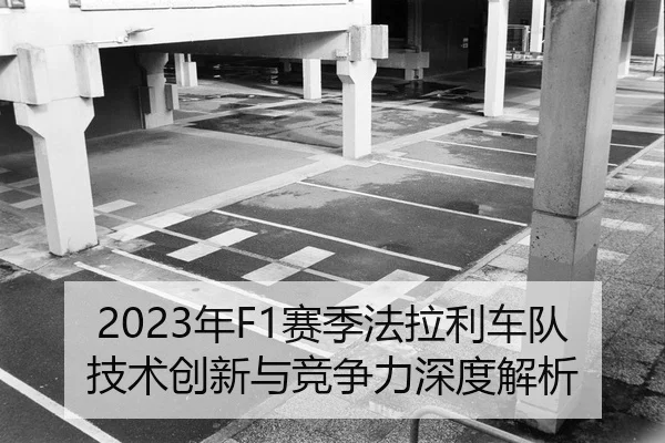 img_1792475453392_63_1_441.jpg